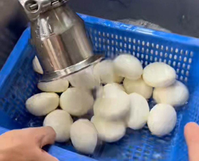 Food Pump