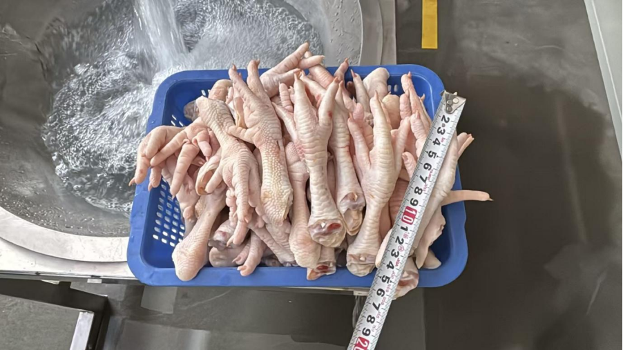 Food-Grade Pneumatic Diaphragm Pumps
