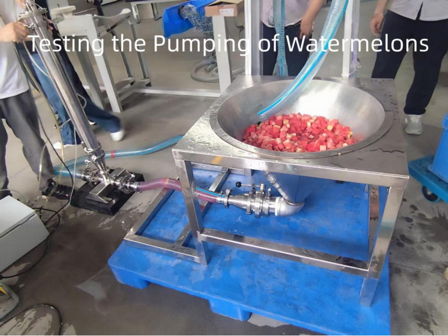 FDA-Certified Sanitary Pumps