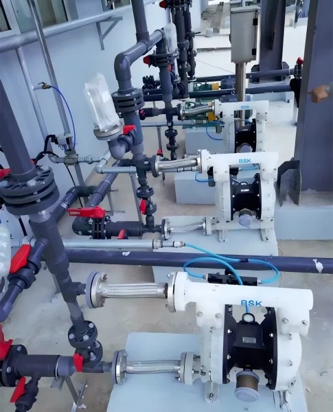 Pneumatic Diaphragm Pump